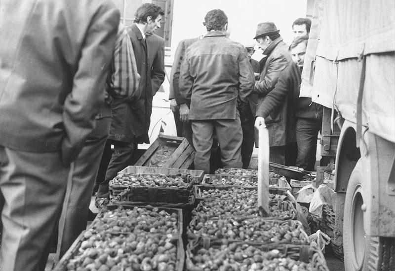 Fiera Fredda della Lumaca | Borgo San Dalmazzo (CN)