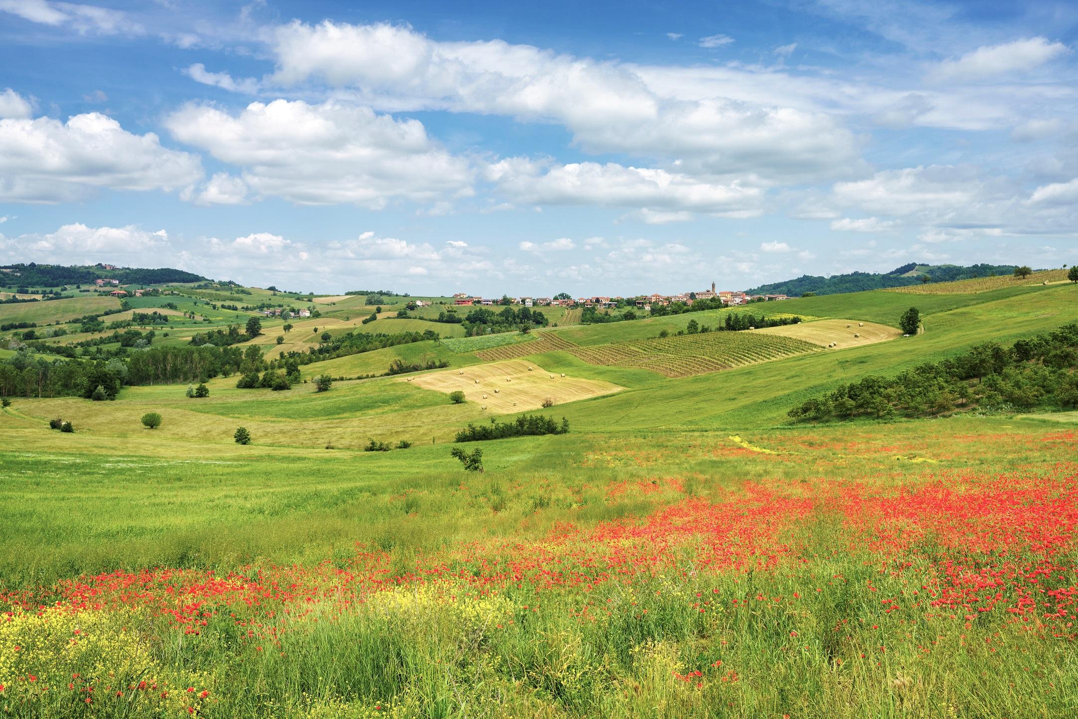 Colline Colline | Visit Piemonte