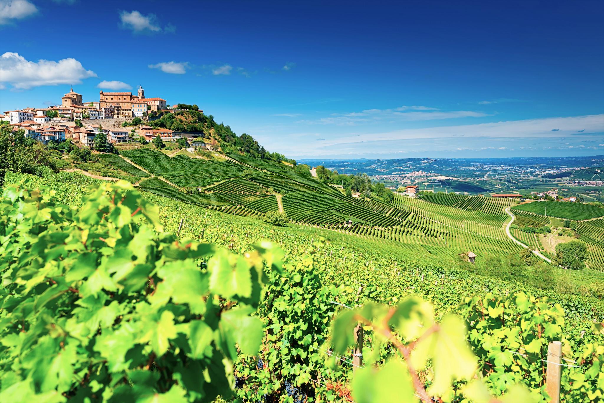 Destiny Piemonte Visit Piemonte