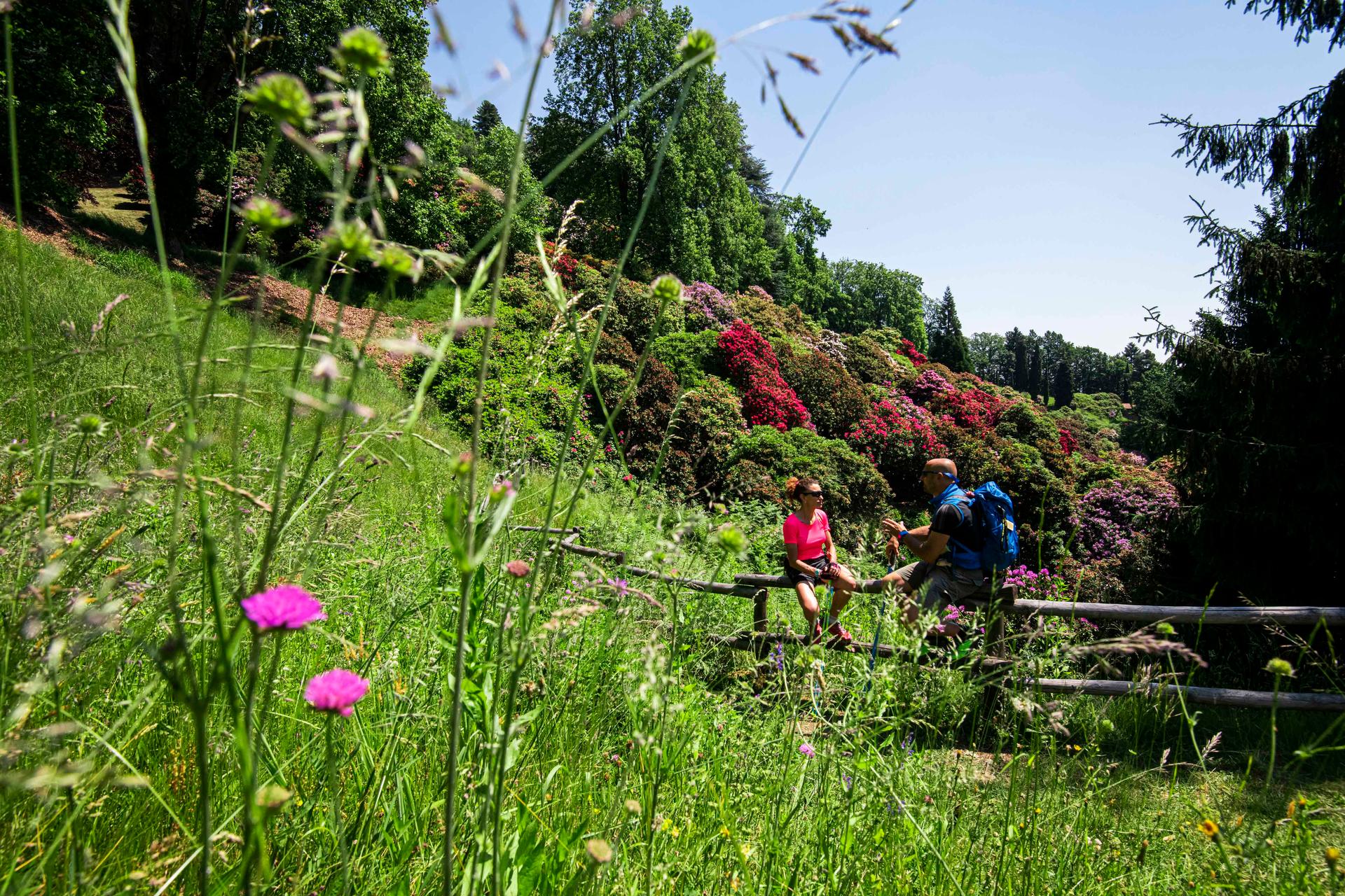 4 Progetti per le Valli di Lanzo 4 Progetti per le Valli di Lanzo