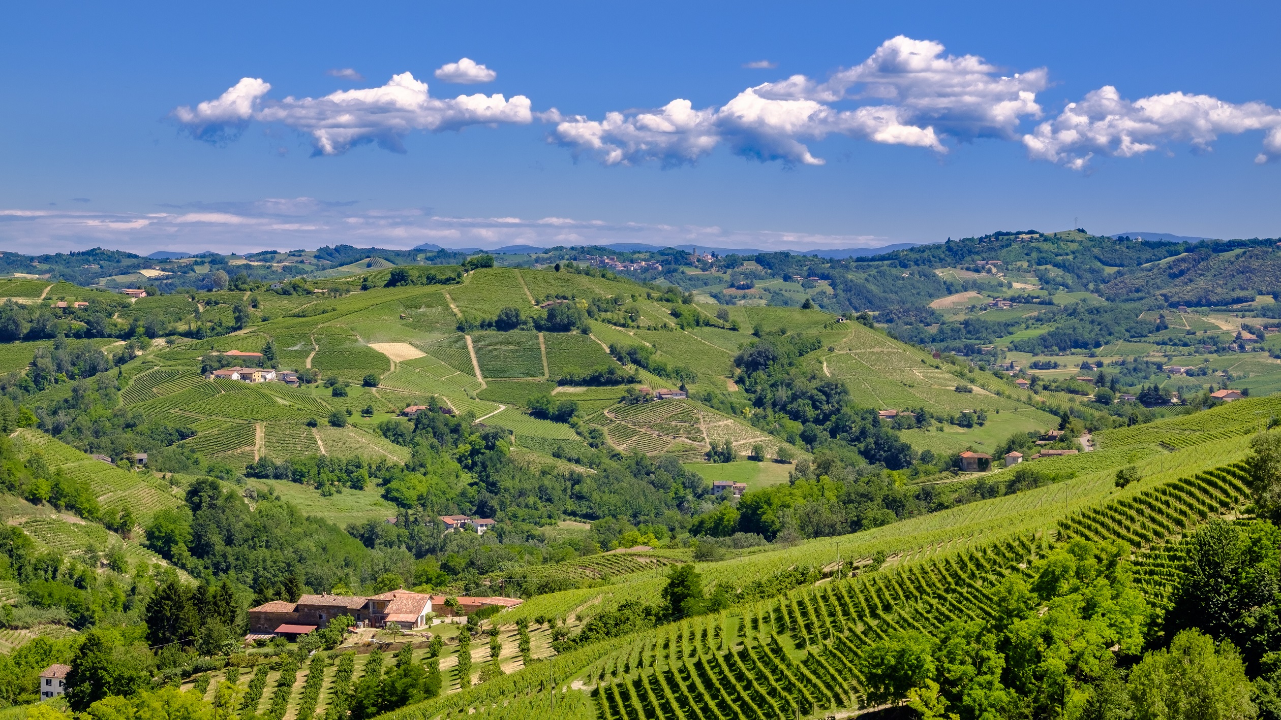 Vigneti, Langhe