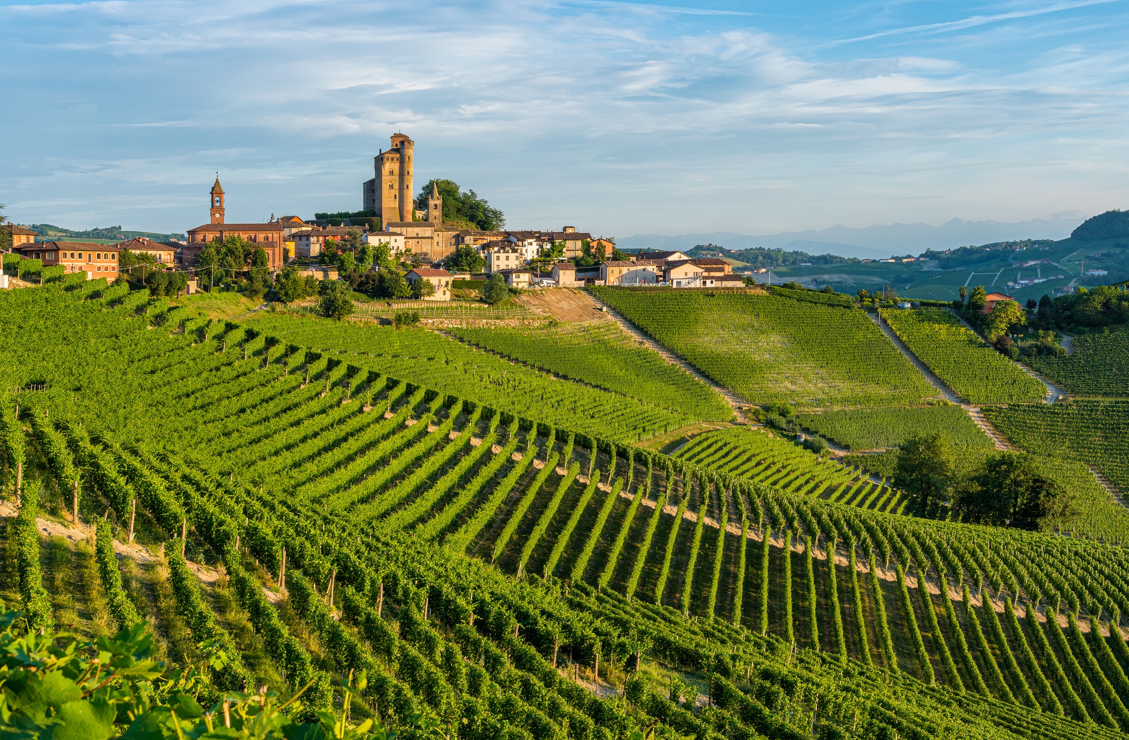 Piedmont's Quiet Power: Why Duchessa Lia Belongs on Every American Wine List in 2026