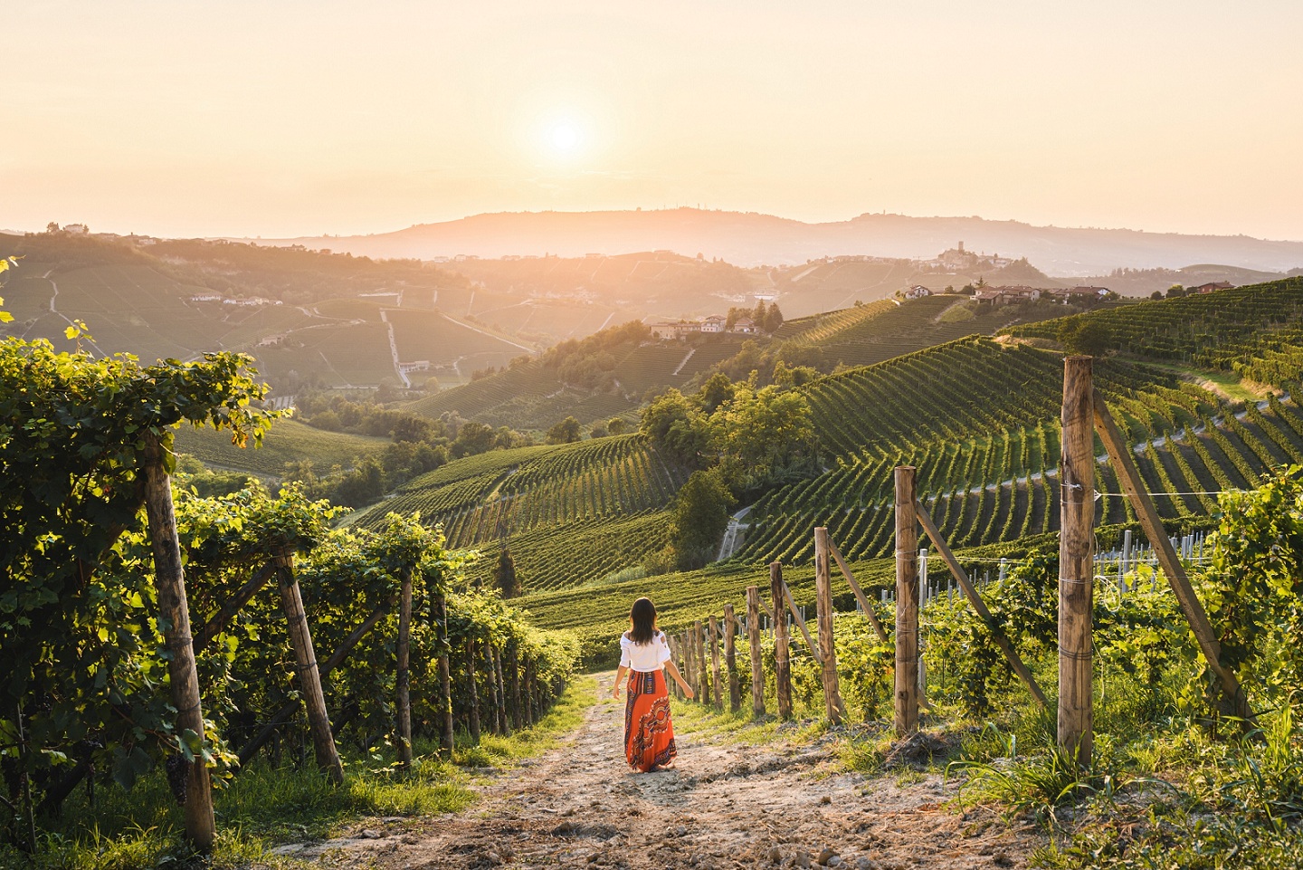 The cultural landscape is the result of the combined action of man and nature Barolo. 2 14 #Piemontestories: women and men of Langhe-Roero and Monferrato with the Virtual Tour project | VisitPiemonte