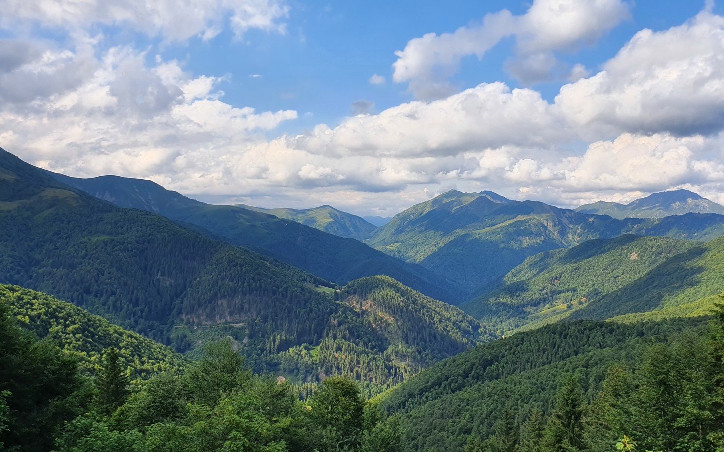 Immersa nella natura dell'alta Val Sessera dal Bocchetto Sessera