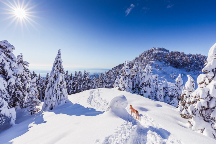 Biellese in inverno